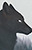 Black Wolf
